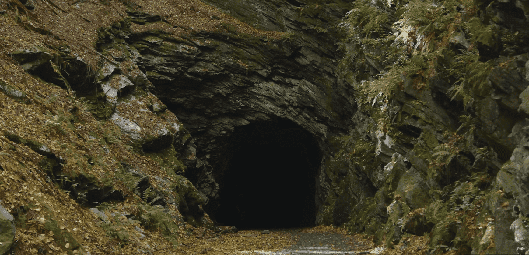 Tunnel